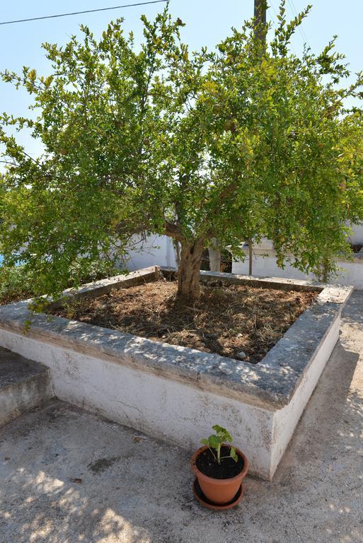 Masseria Gravinella ファザーノ エクステリア 写真